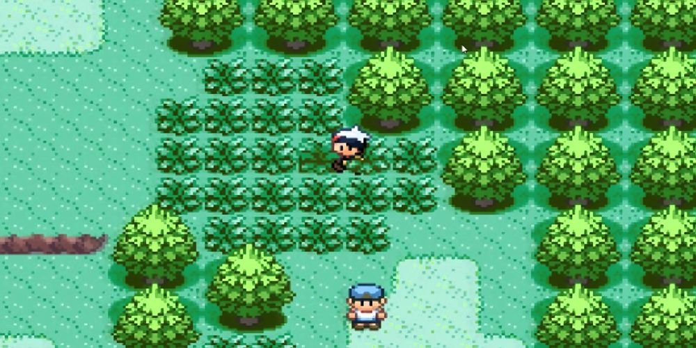 Pokemon Ruby And Sapphire Trainer Walks Through The Tall Grass