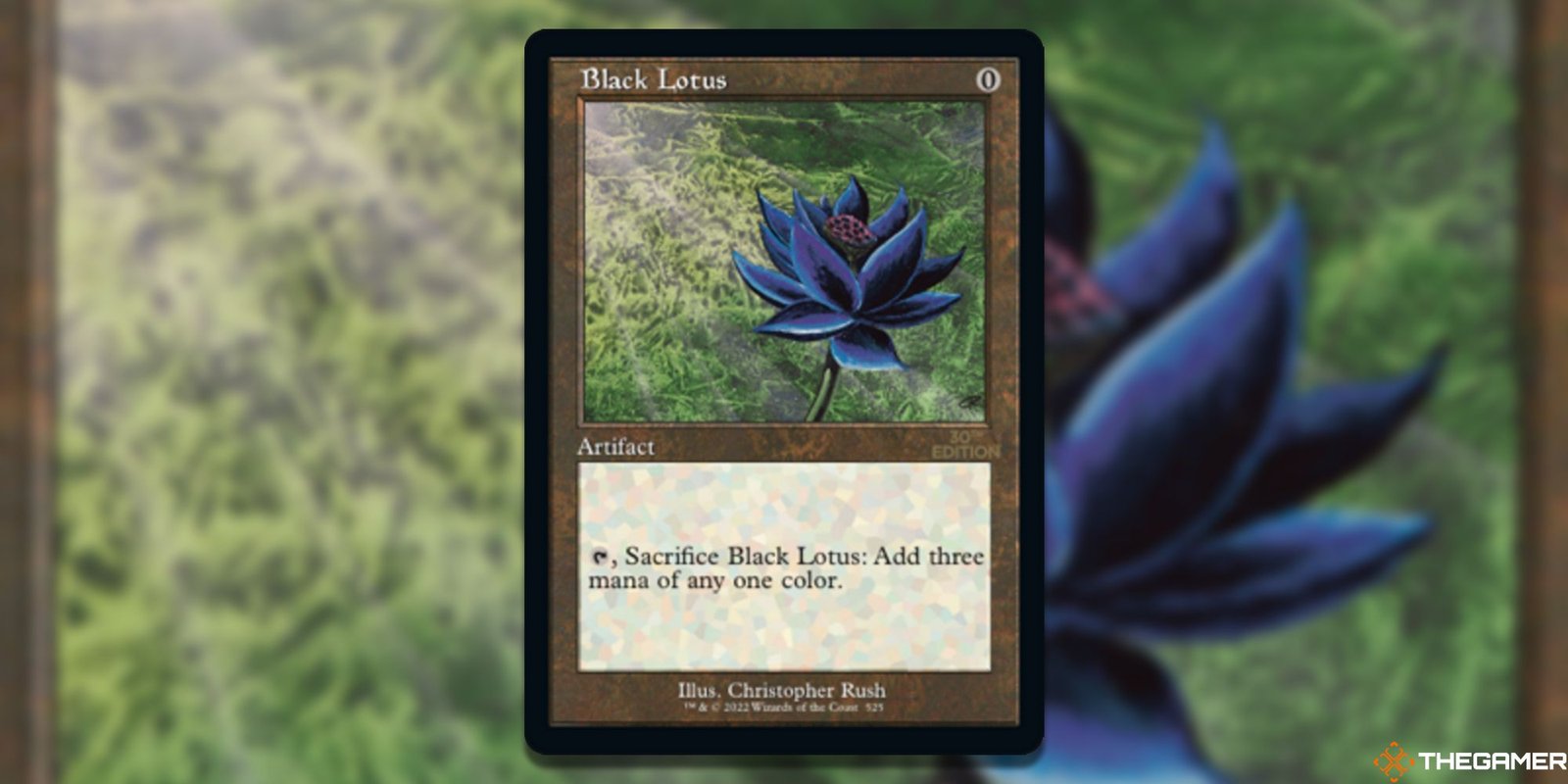 Black Lotus
