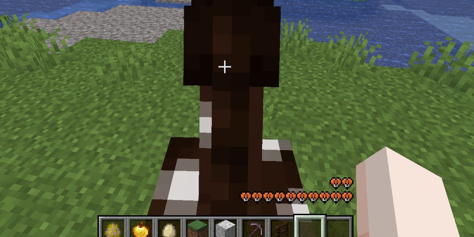 player on horse with health displayed