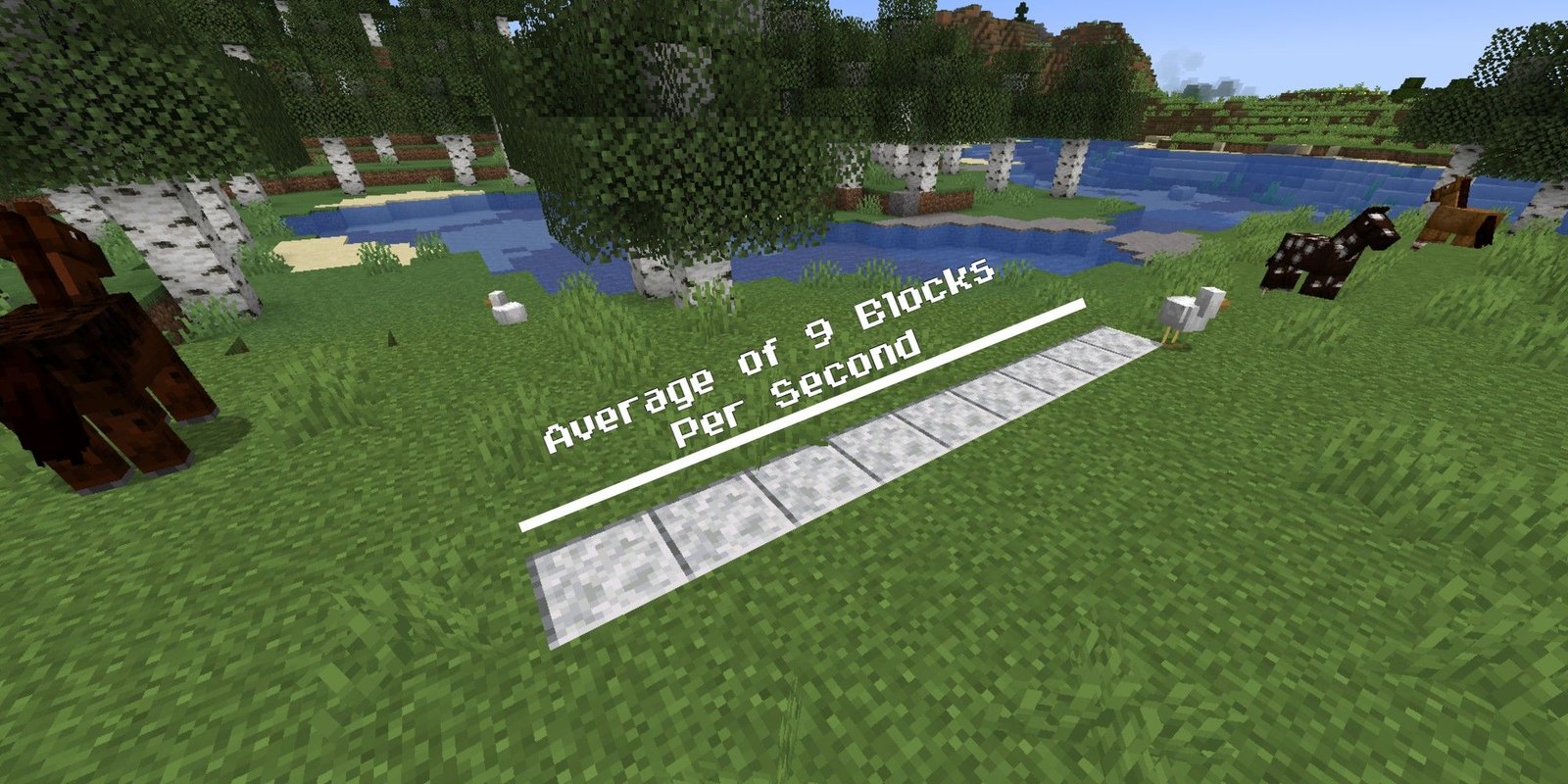 blocks displaying the average distance a horse travels in 1 second