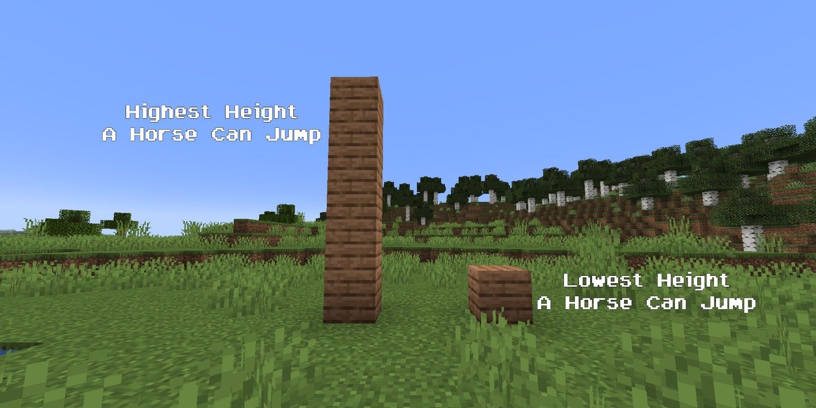 wood planks placed to show how high a horse can jump