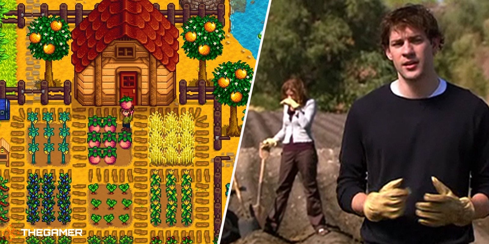 Schrute Farm (left), Stardew Valley farm (right)