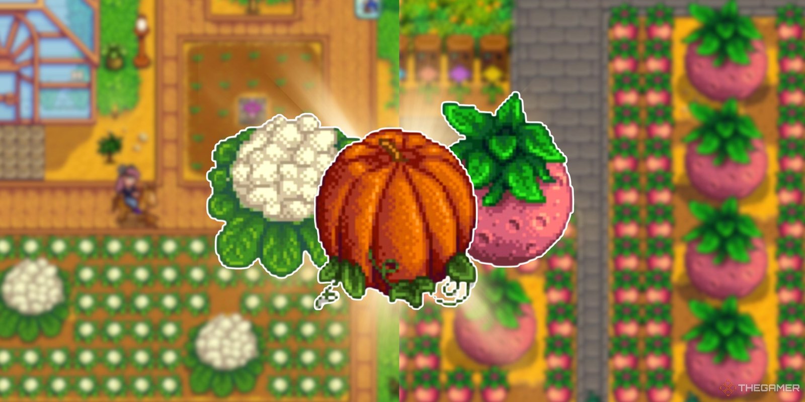Collage image showing two Stardew Valley farm layouts and three Giant Crops in the foreground