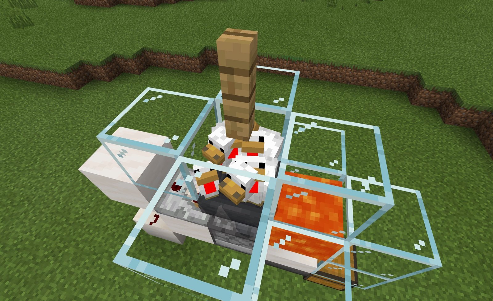 A cooked chicken farm with mutiple chickens inside of it, standing on a hopper. 