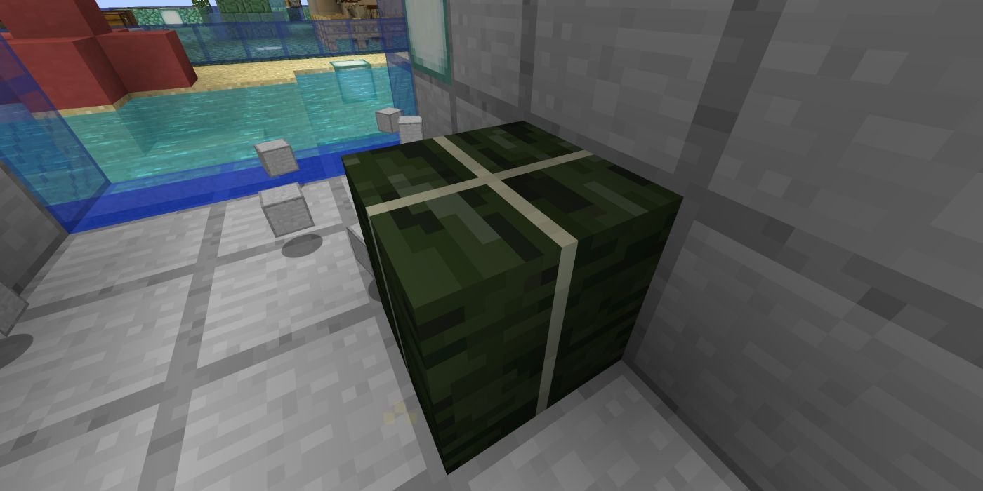 Minecraft kelp block