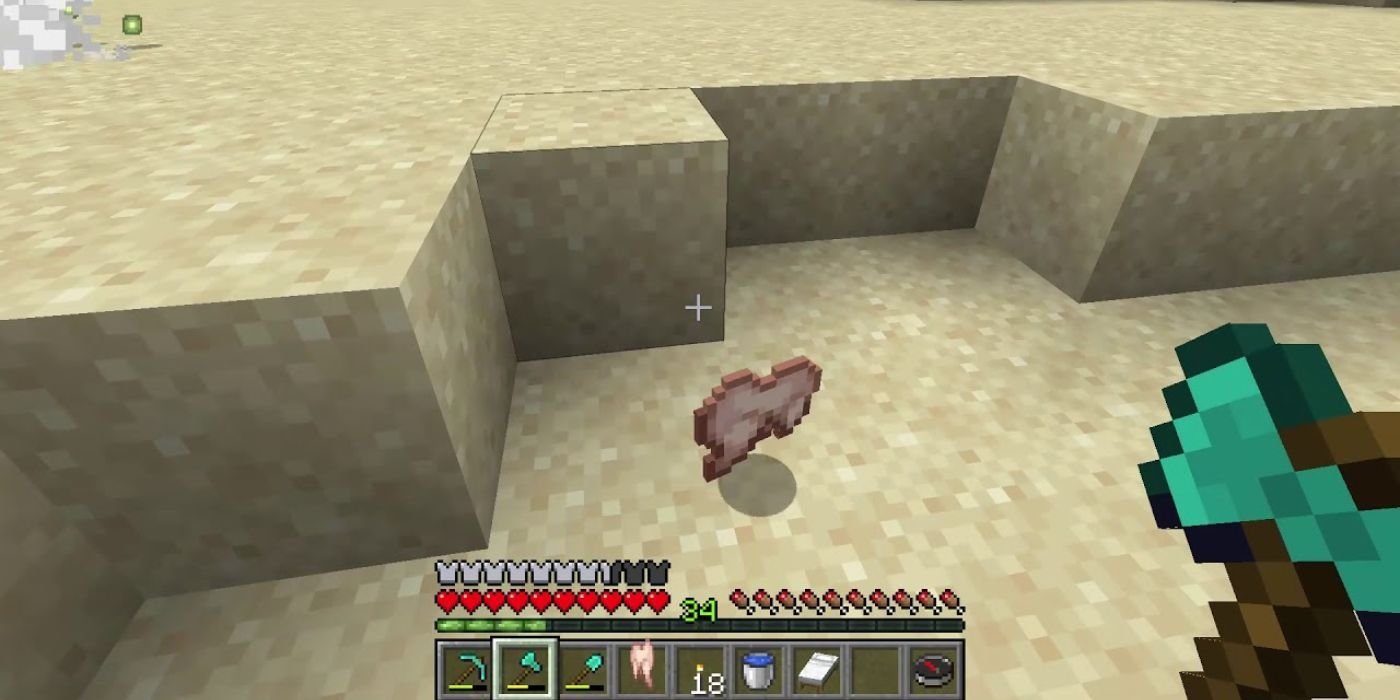 Minecraft raw rabbit in the desert