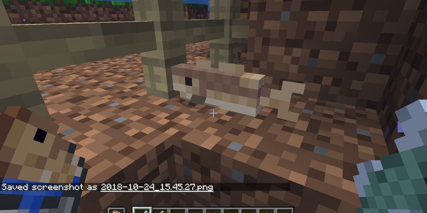 Minecraft cod swimming underwater