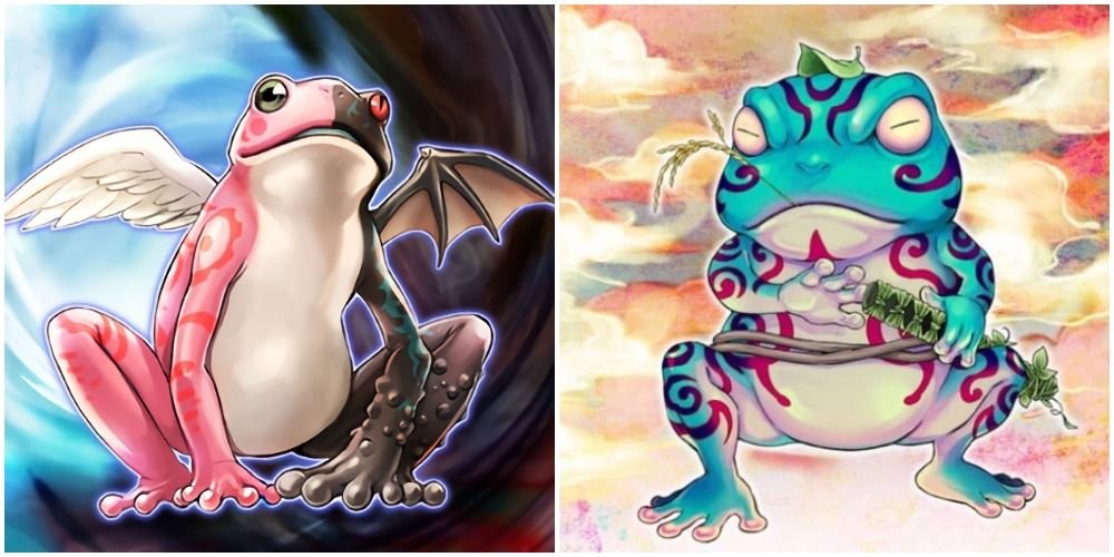 frog card artwork split