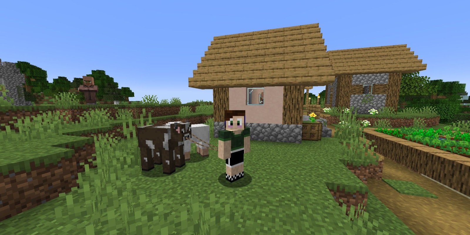 A player in Minecraft leading animals. 