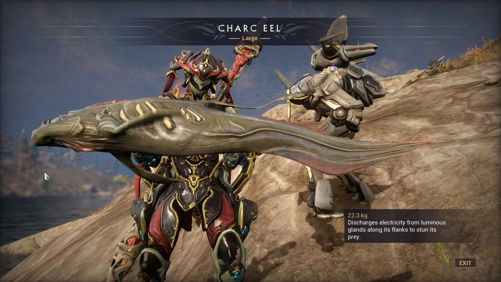 Fish Warframe