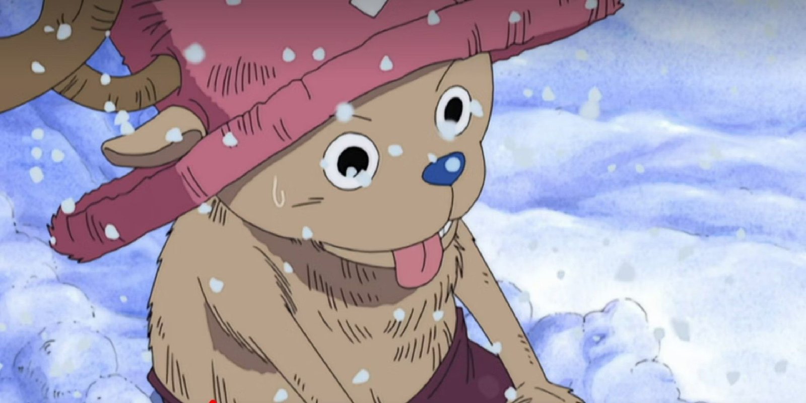 One piece image showing chopper in the snow