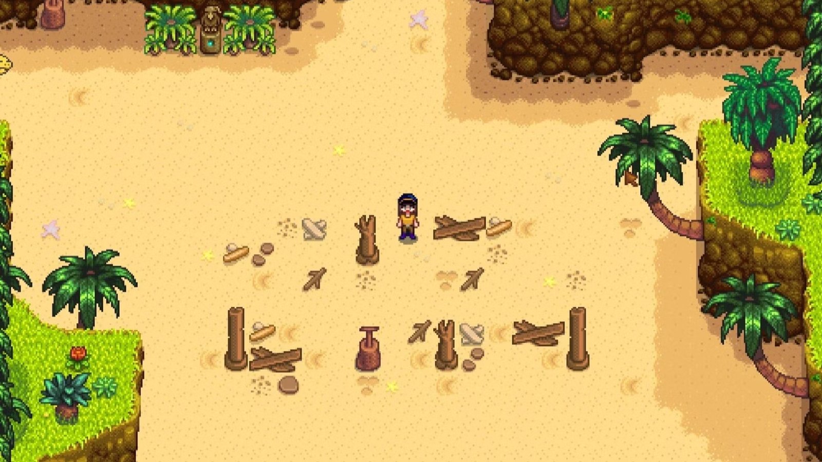 player standing on initial landing beach in ginger island in Stardew Valley