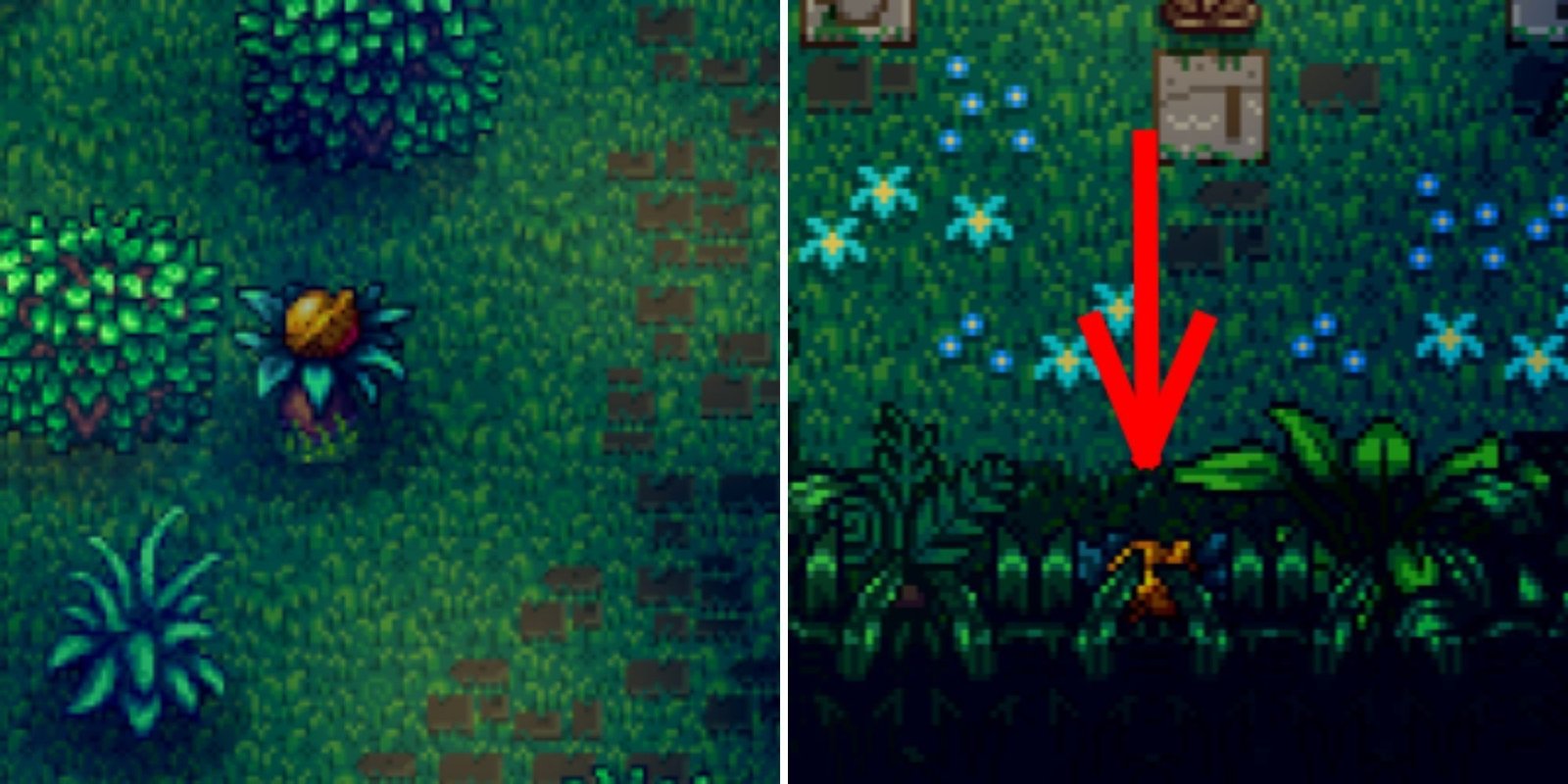 Stardew Valley Ginger Island East Goldun Walnut Locations