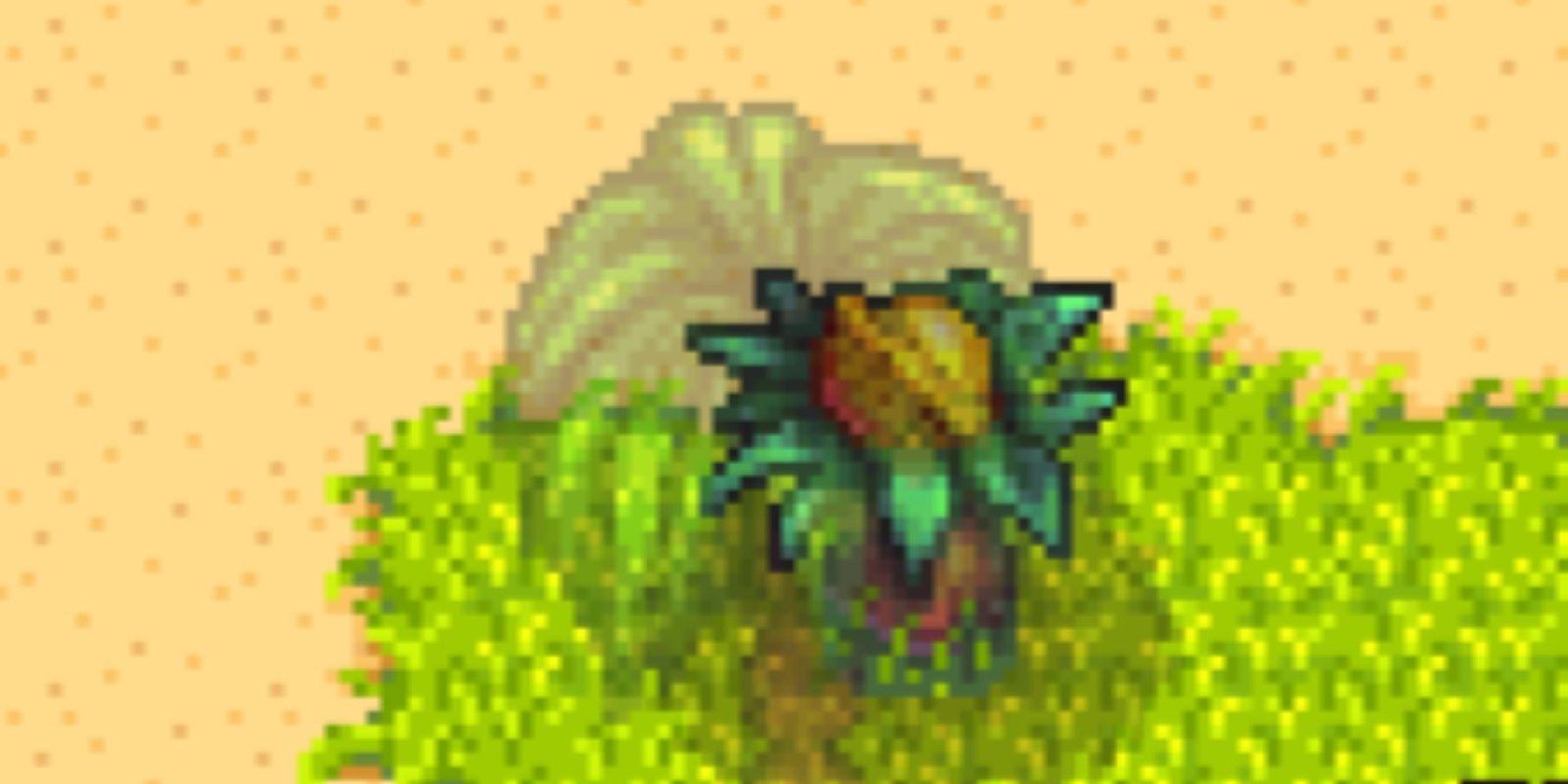 Stardew Valley Ginger Island North Golden Walnut Locations (8)
