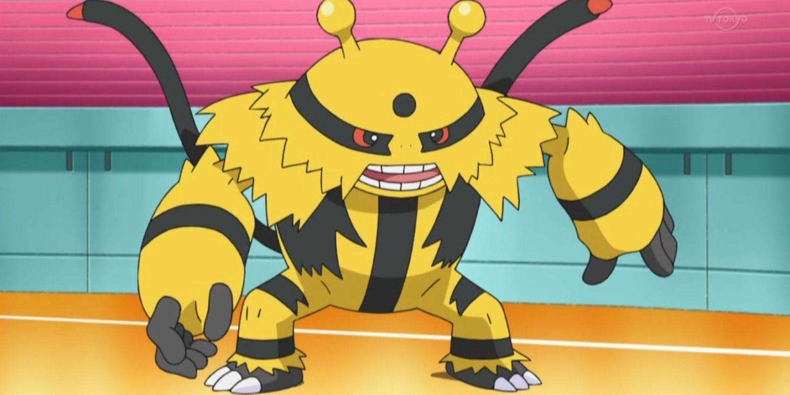 Electivire prepares for battle in the Pokemon anime.