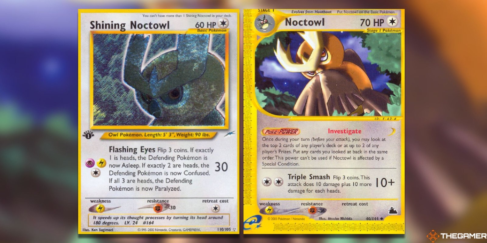 The Shining Noctowl from Neo Destiny and Noctowl from Skyridge in the Pokemon TCG.