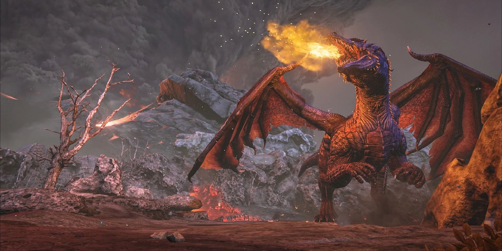 cinematic shot of dragon