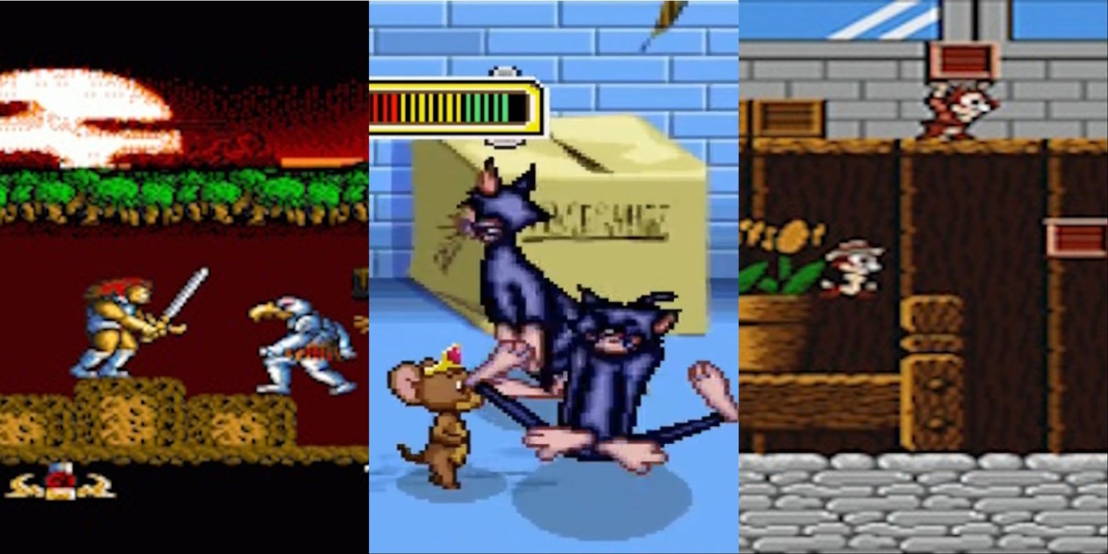 ThunderCats, Tom and Jerry, and Chip n Dale Rescue Rangers