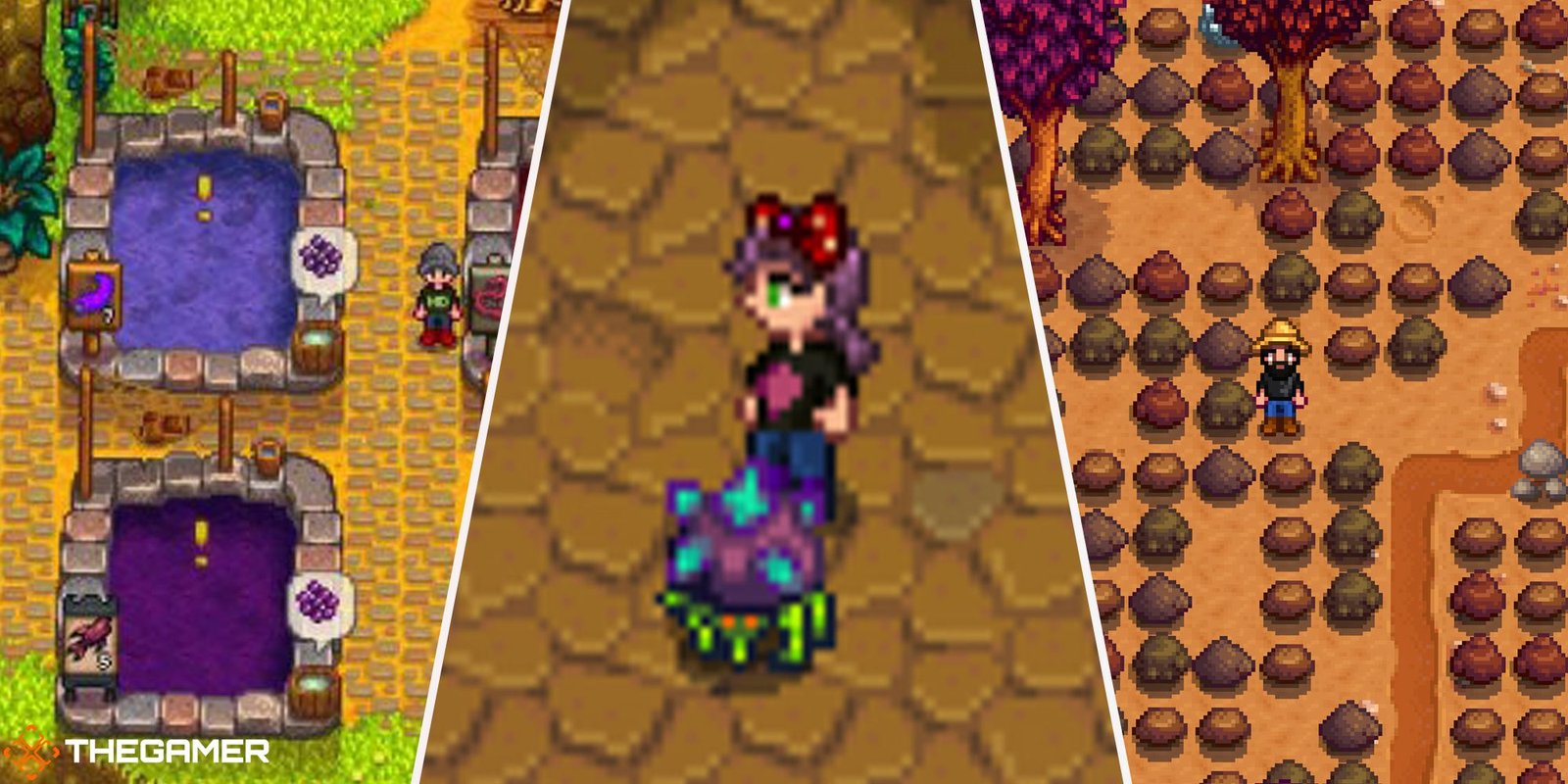 Stardew Valley - Iridium Crab (centre), Quarry (right), Super Cucumber Pond (left)