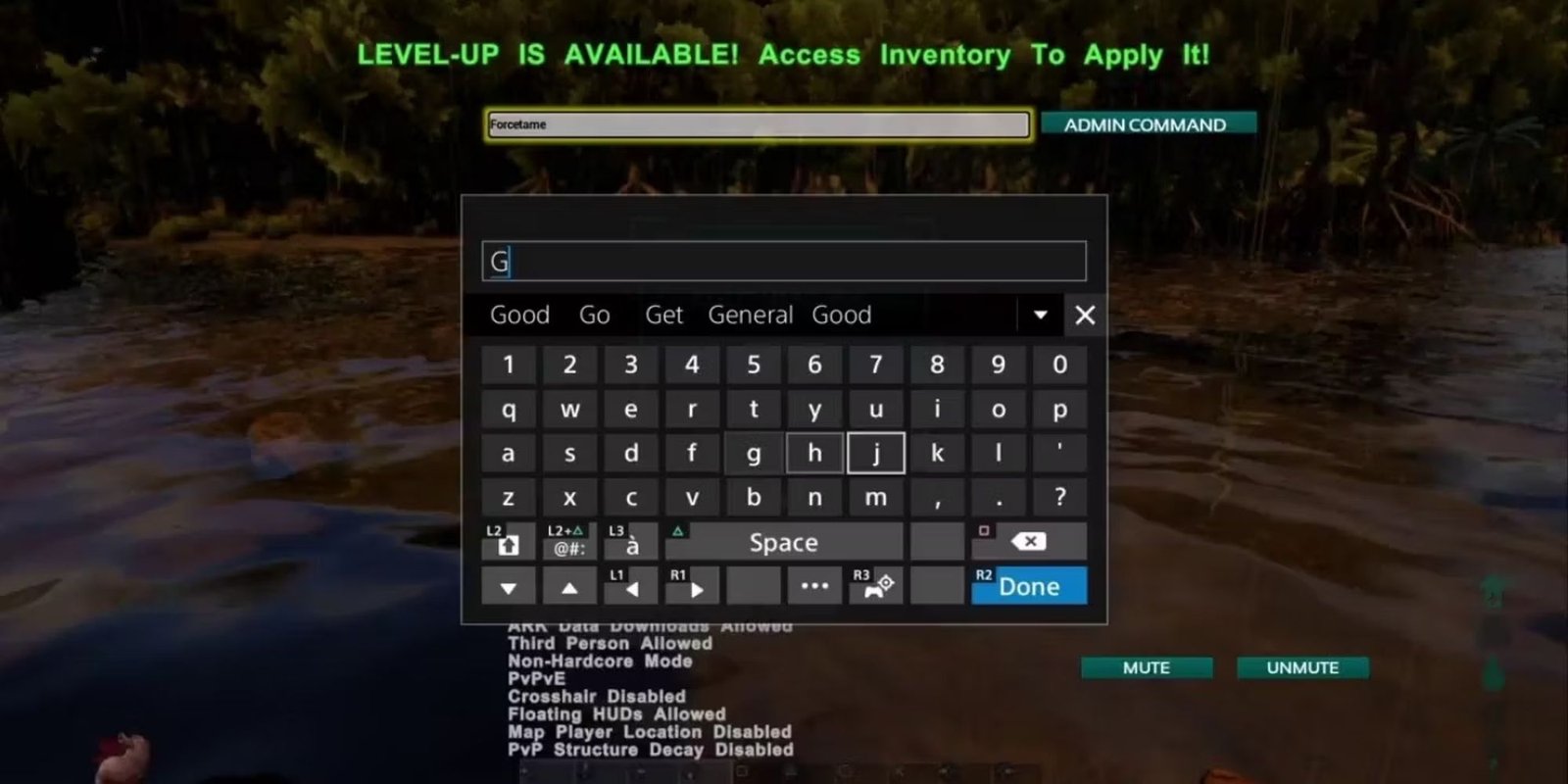 player inputting a cheat code