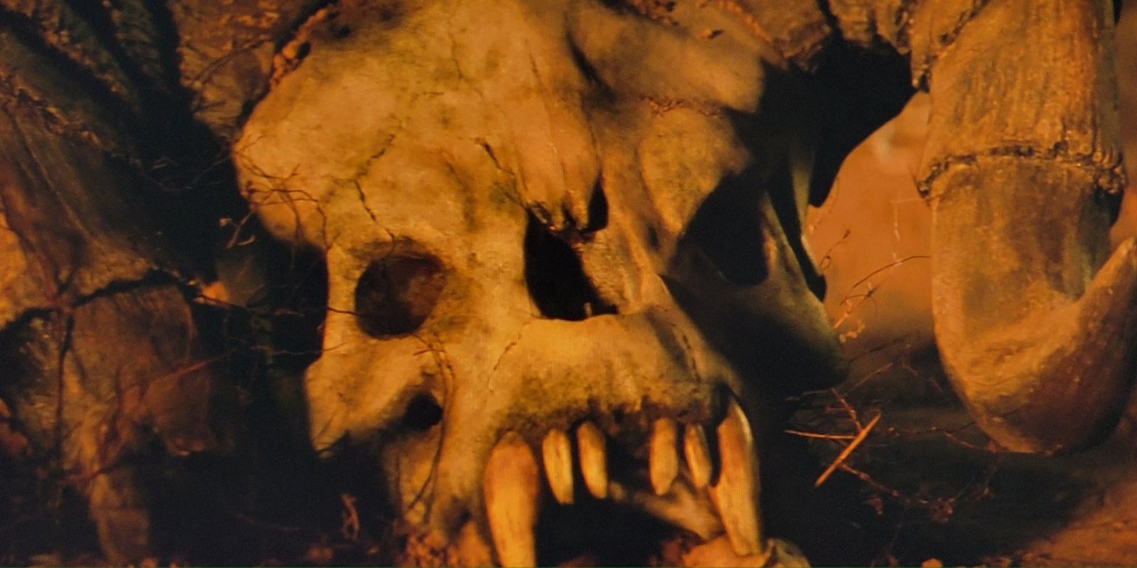 Close-up of a Deathclaw Skull in the Fallout TV Show.