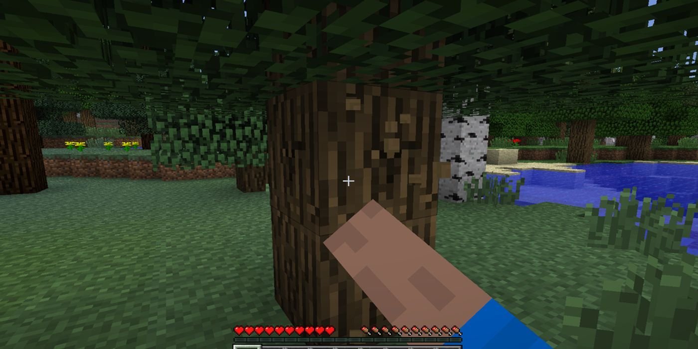 Minecraft Punching Tree