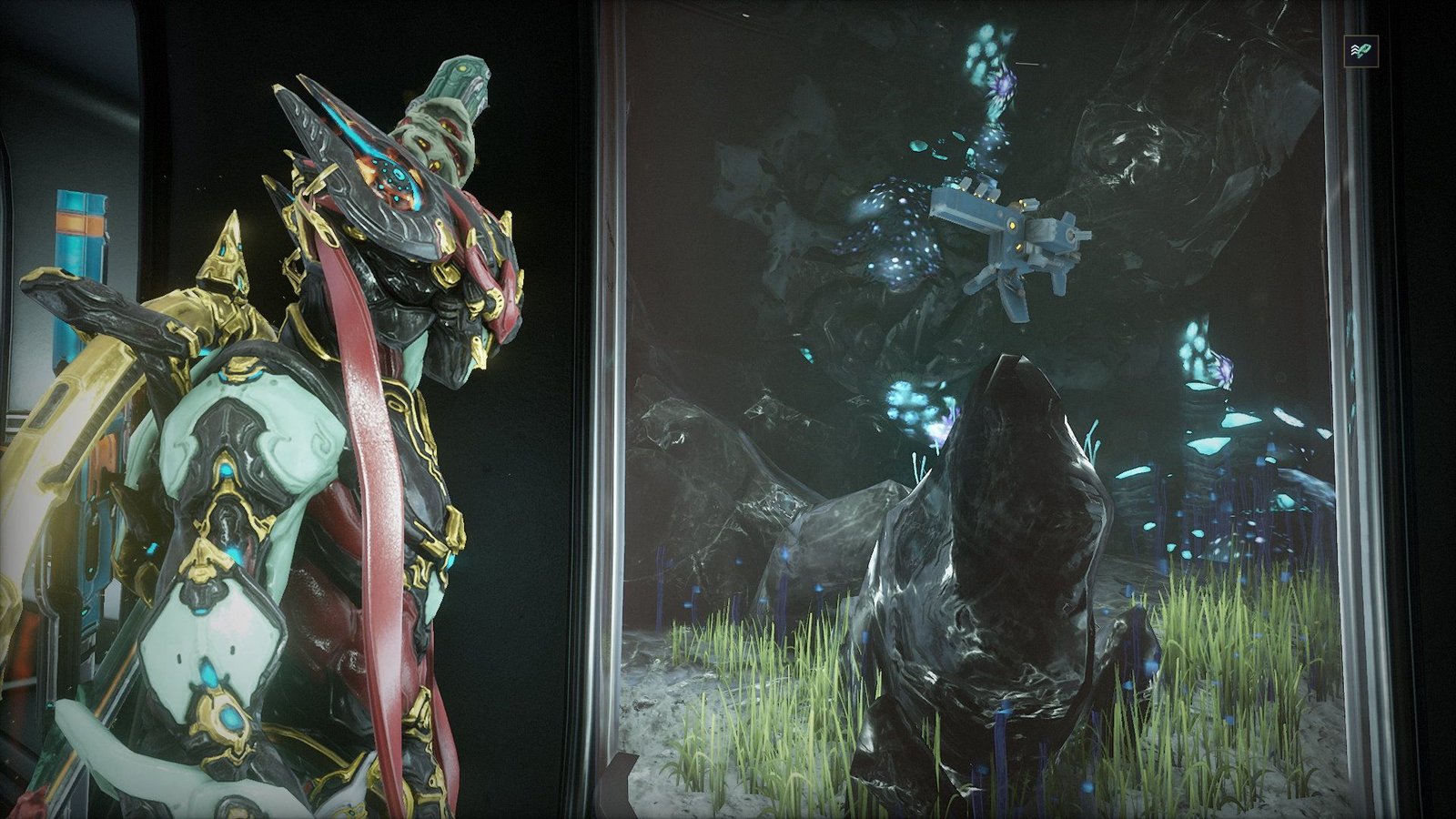 Fish Warframe