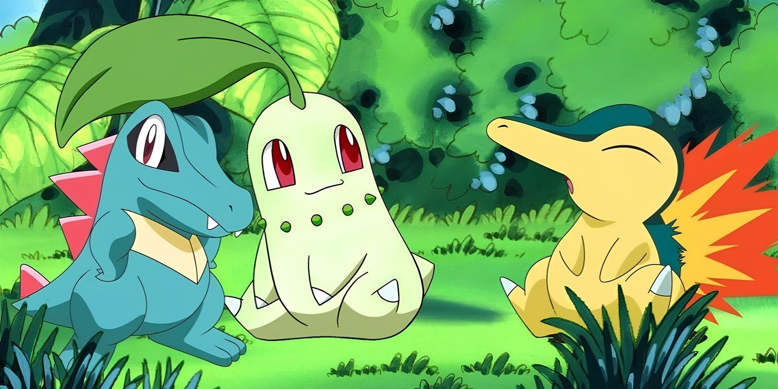 Cyndaquil-totodile-chikorita-pokemon