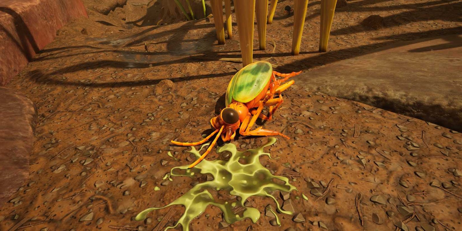 Bombardier Beetle الميت على أساس 2