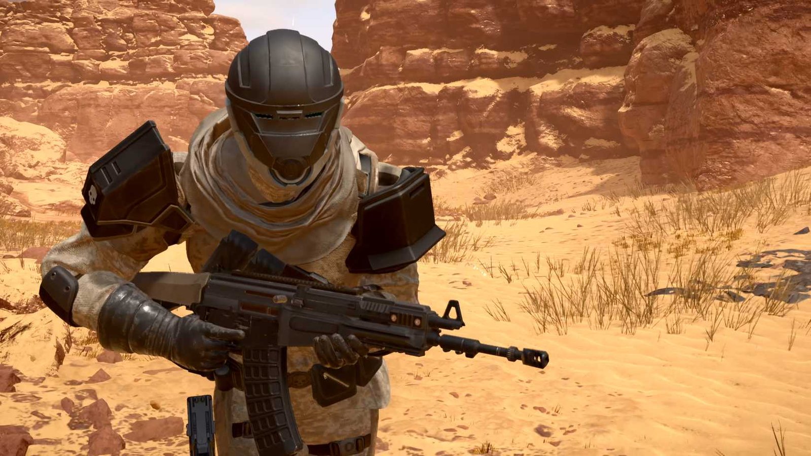 HD2 Dust Devils Coyote Assault Rifle